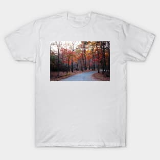 A Journey Through Fall T-Shirt